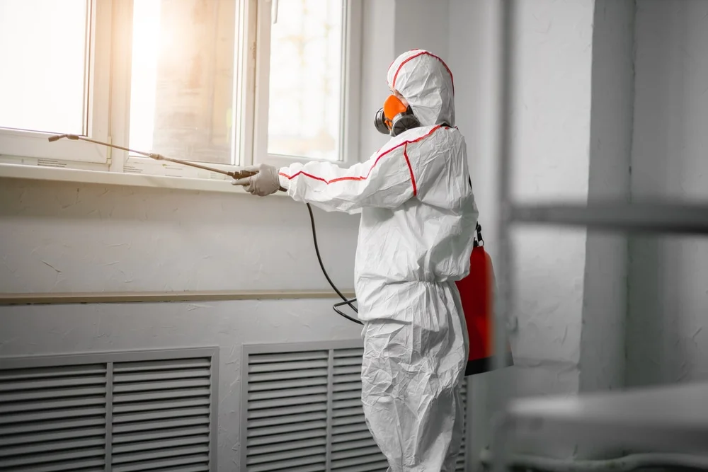 Professional mold remediation services in Hawthorne, NV
